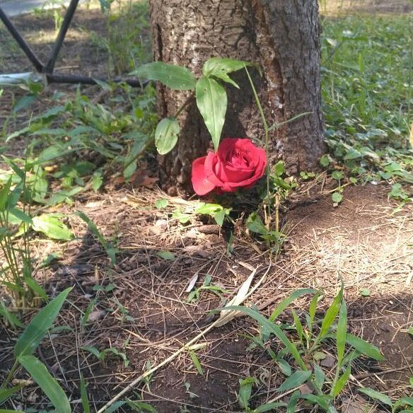 Retiro Provincia de Buenos Aires