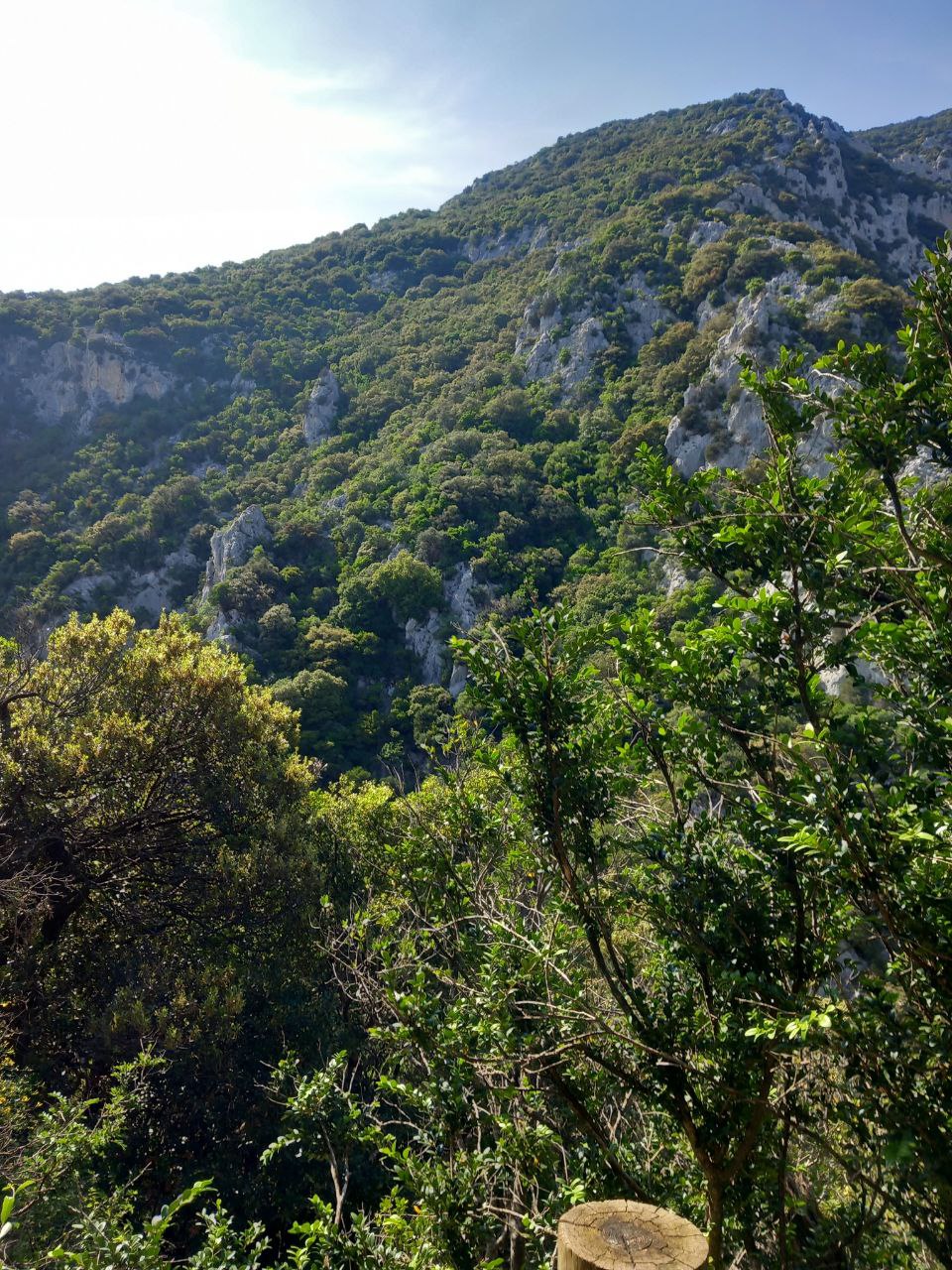 Peregrinaje Sur de Francia