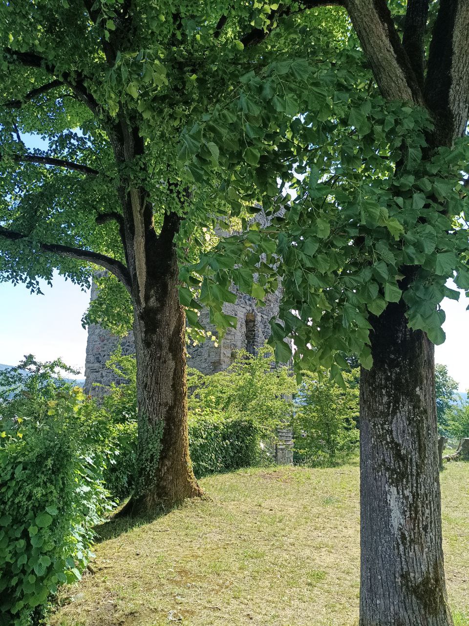 Peregrinaje Sur de Francia