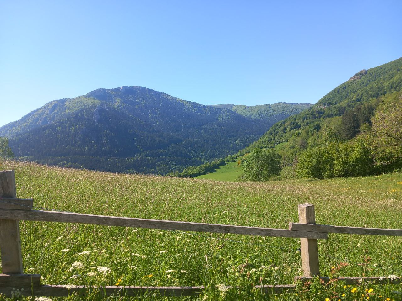 Peregrinaje Sur de Francia