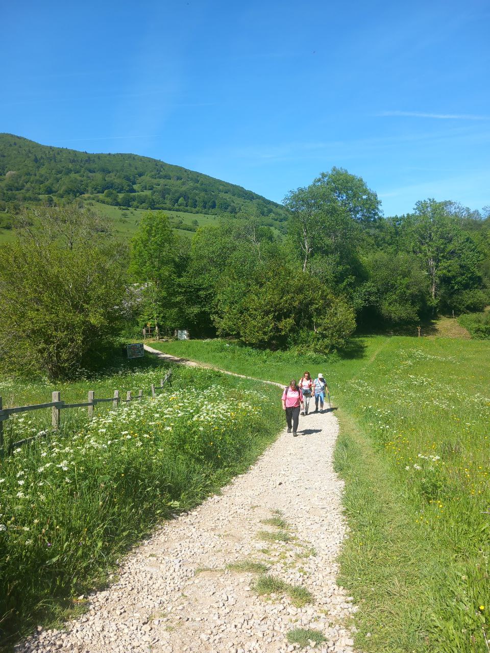 Peregrinaje Sur de Francia