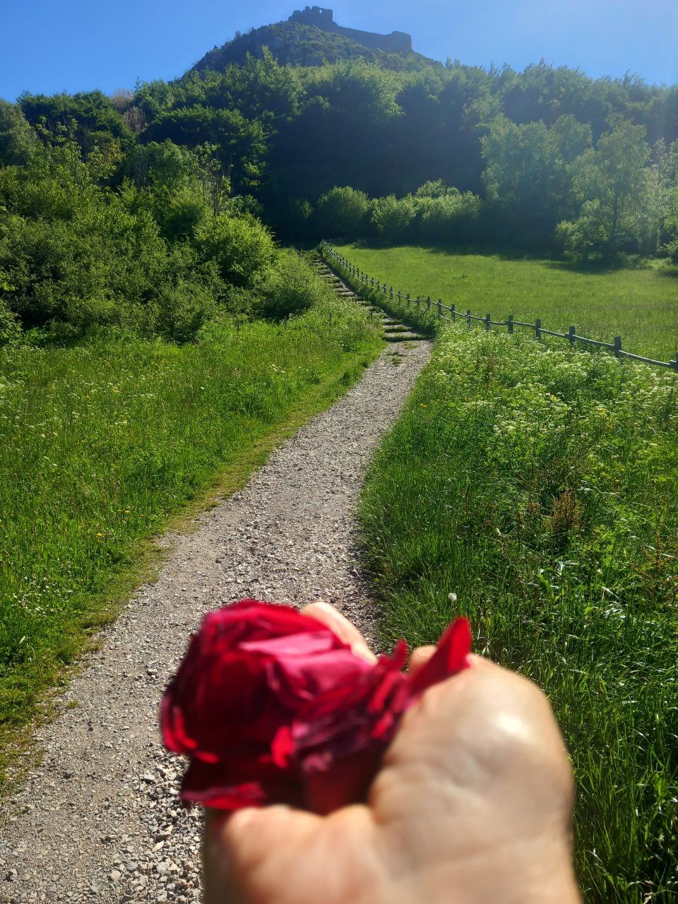 Peregrinaje Sur de Francia