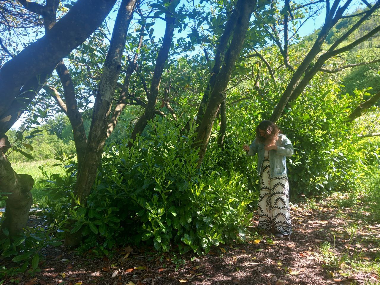 Peregrinaje Sur de Francia