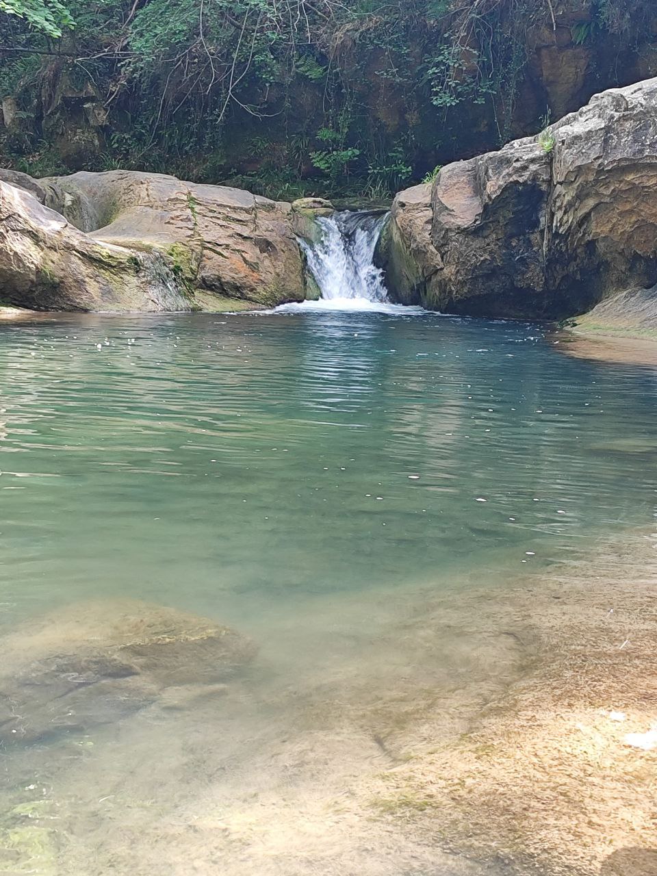 Peregrinaje Sur de Francia